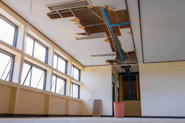 Water damage restoration mold remediation in Republic, MO