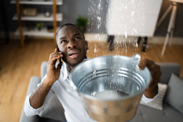 Best Basement water damage restoration  in Republic, MO