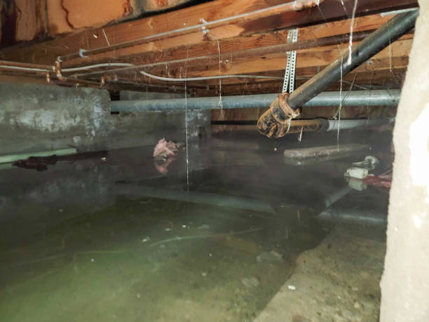 Carpet water damage restoration in Republic, MO