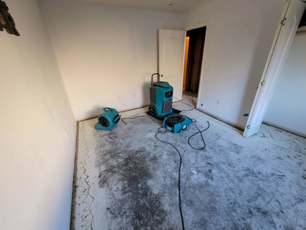 Best Flood damage cleanup  in Republic, MO