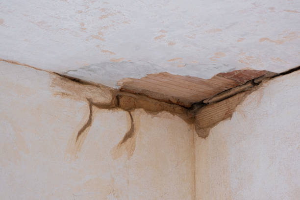 Best Water damage repair service  in Republic, MO