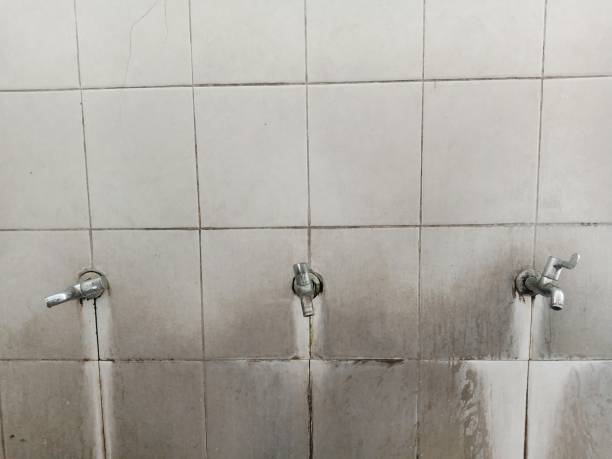 Best Professional water damage repair  in Republic, MO