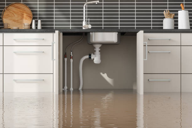 Best Fire Damage Restoration  in Republic, MO