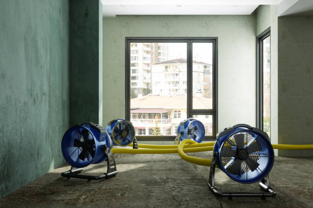 Best Water damage cleanup near me  in Republic, MO