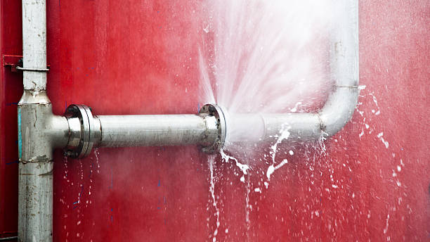 Best Water damage restoration near me  in Republic, MO