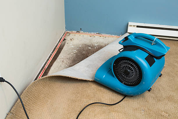 Best Water damage contractors near me  in Republic, MO